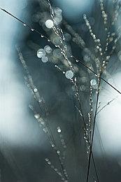 微软和EE达成10年云游戏合作 将Xbox游戏带给更多玩家